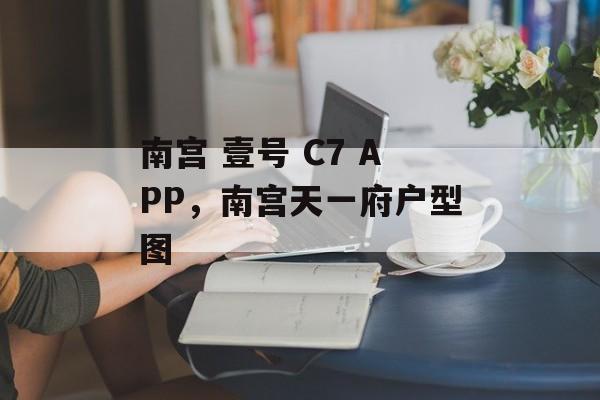 南宫 壹号 C7 APP，南宫天一府户型图